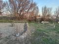 Жеке үй · 3 бөлме · 90 м² · 25 сот., Грушевая 8 — Агропромышленник, бағасы: 20 млн ₸ в Талдыкоргане — фото 19