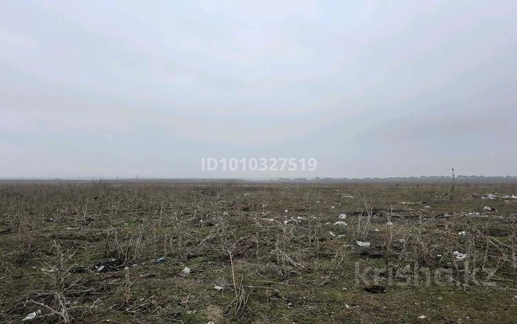 Жер телімі · 50 сотық, Кемертоган, бағасы: 20 млн 〒 — фото 2