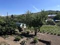 Отдельный дом · 3 комнаты · 75 м² · 13 сот., Северная 30А за 14.5 млн ₸ в Усть-Каменогорске — фото 31