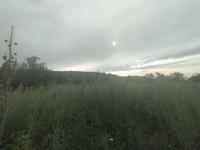 Участок · 1 га, Береке за 13 млн 〒 в Талгаре