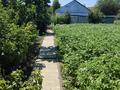 Дача · 1 комната · 90 м² · 10 сот., С/К Зелёный-4 71 — ГМЗ за 5.5 млн ₸ в Актобе — фото 2