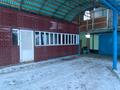 Отдельный дом · 4 комнаты · 176 м² · 10 сот., Целинная 97 за 18 млн ₸ в Алтае — фото 7