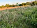 Участок · 10 соток, Айтеке-би 9 — Толе би за 2.5 млн ₸ в Жалтырколе — фото 4