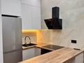 1-комнатная квартира · 50 м² · 5/9 этаж, мкр Юго-Восток, 218 учетный квартал 154 за 260 000 ₸ в Караганде, Казыбек би р-н — фото 4