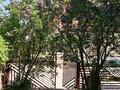 Дача · 4 комнаты · 150 м², Горки — Посёлки Алмалык, Байбулак- Талгарский район. Байбулакское ущелье дачи Горки за 800 000 〒 — фото 75