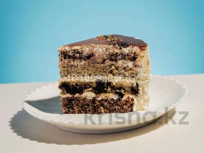 Действующий бизнес в г. Каскелен · 200 м², бағасы: 75 млн 〒