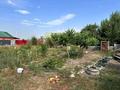 Отдельный дом · 4 комнаты · 100 м² · 8 сот., Жаналык 32 — Магазин Нур за 18 млн ₸ в  — фото 15