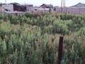 Жер телімі · 8 га, Село Заречное, бағасы: 8.4 млн ₸ — фото 6