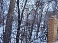 Участок · 0.9143 га, Абая красина 6 за ~ 150.6 млн 〒 в Усть-Каменогорске — фото 4