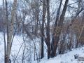 Участок · 0.9143 га, Абая красина 6 за ~ 150.6 млн 〒 в Усть-Каменогорске — фото 5