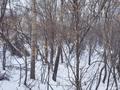 Участок · 0.9143 га, Абая красина 6 за ~ 150.6 млн 〒 в Усть-Каменогорске — фото 6