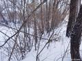 Участок · 0.9143 га, Абая красина 6 за ~ 150.6 млн 〒 в Усть-Каменогорске — фото 7