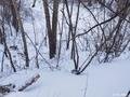 Участок · 0.9143 га, Абая красина 6 за ~ 150.6 млн 〒 в Усть-Каменогорске — фото 8