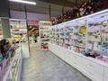 Магазин косметики или пустой бутик · 28 м² за 16 млн ₸ в Астане, Алматы р-н — фото 15