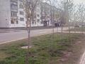 2-бөлмелі пәтер · 44.5 м² · 5/5 қабат, Молдагулова 20, бағасы: ~ 18 млн ₸ в Астане, Сарыарка р-н — фото 18