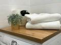 1-бөлмелі пәтер · 37 м², Орынбор 10/3 — Район Астана арены, бағасы: 16 000 ₸ в Нура р-н — фото 11