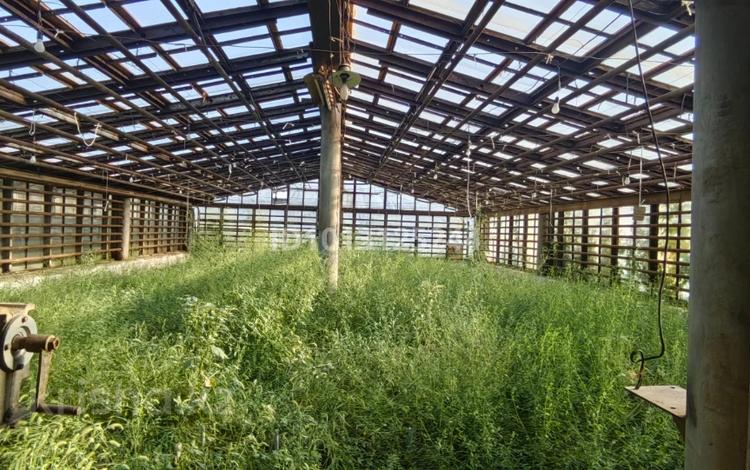 Өнеркәсіптік база · 20 га, Центральная промзона 54, бағасы: 2 000 ₸ в Павлодаре — фото 2