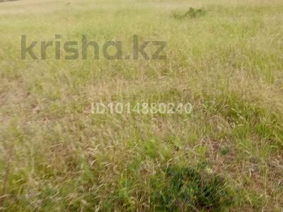 Участок · 24 га, Карниловка 98 — Жаскешу Ауылынан откен сон бетонканын он жақ беті за 600 000 ₸ в Тюлькубасе