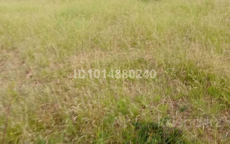 Участок · 24 га, Карниловка 98 — Жаскешу Ауылынан откен сон бетонканын он жақ беті за 600 000 ₸ в Тюлькубасе — фото 2