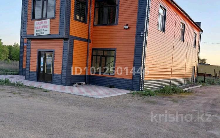 Свободное назначение · 460 м² за ~ 99.8 млн ₸ в Аршалы — фото 2