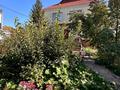 Жеке үй · 9 бөлме · 522.4 м² · 15 жүзд., Академика Сатпаева 115/1 — Сатпаева-Толстого, бағасы: 220 млн ₸ в Павлодаре — фото 2