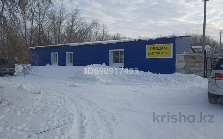 Еркін, дүкендер мен бутиктер, қоймалар · 612 м², бағасы: 20 млн ₸ в Сергеевке — фото 2