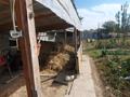 Отдельный дом · 5 комнат · 180 м² · 8 сот., Айдарәлі 1 за 35 млн ₸ в Улане — фото 4