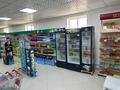 Действующий магазин со всем оборудованием в Акшукуре · 220 м² за 30 млн ₸ — фото 4