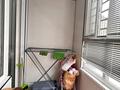1-бөлмелі пәтер · 40 м² · 3/18 қабат, Е-36, бағасы: 31 млн ₸ в Астане, Нура р-н — фото 7