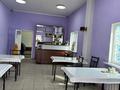 Комплекс СТО Кафе, 360 м² за 63 млн 〒 в Чапаеве — фото 21