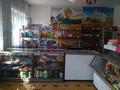 Продуктовый магазин · 159 м², бағасы: 9.5 млн ₸ в Алтае — фото 2