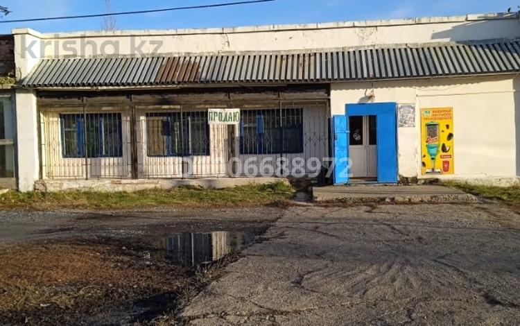 Продуктовый магазин · 159 м², бағасы: 9.5 млн ₸ в Алтае — фото 10