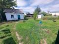 Отдельный дом · 4 комнаты · 75 м² · 6 сот., Алдабергенова 100 за 16.5 млн ₸ в Талдыкоргане — фото 10