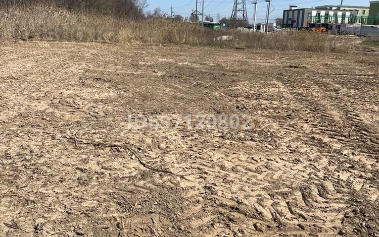 Участок · 6 соток, Микррайон Куат 1266 5 за 27 млн ₸ в  — фото 2