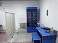 Свободное назначение, медцентры и аптеки · 90 м² за 18 млн ₸ в Бадаме — фото 4