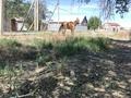 Отдельный дом · 7 комнат · 360 м² · 16 сот., мкр Атырау, Пушкина 12 — Район Кит-край, на берегу реки Ақ-жайық. за 85 млн ₸ — фото 24