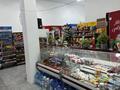 Магазины и бутики • 147 м² за 130 млн 〒 в Алматы, Наурызбайский р-н — фото 5