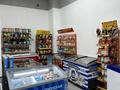 Магазины и бутики • 147 м² за 130 млн 〒 в Алматы, Наурызбайский р-н — фото 6