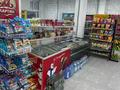 Магазины и бутики · 106.6 м² за 73.5 млн ₸ в Астане, Есильский р-н — фото 3