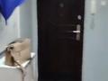 4-комнатная квартира · 90 м² · 1/5 этаж, Джандосова — Розыбакиева за 500 000 ₸ в Алматы, Бостандыкский р-н — фото 11