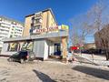 Магазины и бутики · 1173 м² за 410 млн ₸ в Астане, Сарыарка р-н — фото 2