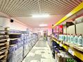 Магазины и бутики · 1173 м² за 410 млн ₸ в Астане, Сарыарка р-н — фото 7