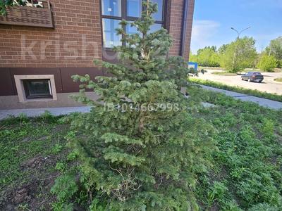 2-бөлмелі пәтер · 60 м², Штурманская 21б, бағасы: 34.5 млн ₸ в Караганде, Казыбек би р-н