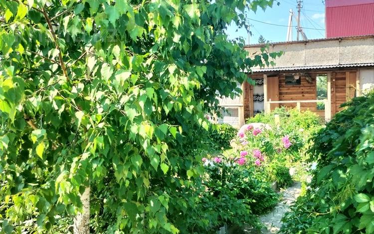 Саяжай · 2 бөлме · 40 м², Набережная 2 — Отель терасса парк, бағасы: 10 000 ₸ в Бурабае — фото 2