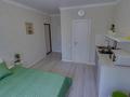 1-комнатная квартира · 18 м² · 1/9 этаж, Розыбакиева 293 за 17 000 ₸ в Алматы, Бостандыкский р-н — фото 3
