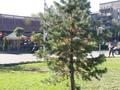 1-бөлмелі пәтер · 40 м² · 6/9 қабат, Ақсай-2 ш/а. 39 — Момышулы - Маргулана, бағасы: 25 млн ₸ в Алматы, Ауэзовский р-н — фото 37
