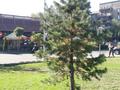 1-бөлмелі пәтер · 40 м² · 6/9 қабат, Ақсай-2 ш/а. 39 — Момышулы - Маргулана, бағасы: 25 млн ₸ в Алматы, Ауэзовский р-н — фото 49