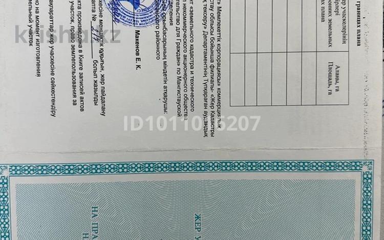 Участок · 16.73 сотки, Акшукур за 4.7 млн ₸ — фото 2