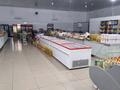 Магазины и бутики • 500 м² за 150 млн 〒 в Жанаозен — фото 6