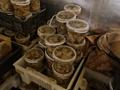 Производство, действующий бизнес по выращиваю грибов, 1360 м², бағасы: 78 млн 〒 в Алматинской обл., Аккайнар — фото 32